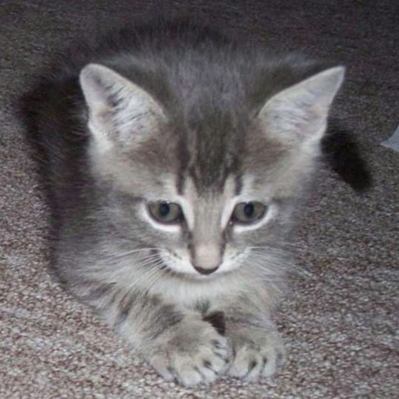 Meet your Posher, B - Picture 1 of 1